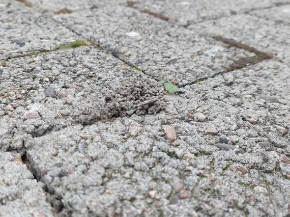 Bild zum Beitrag