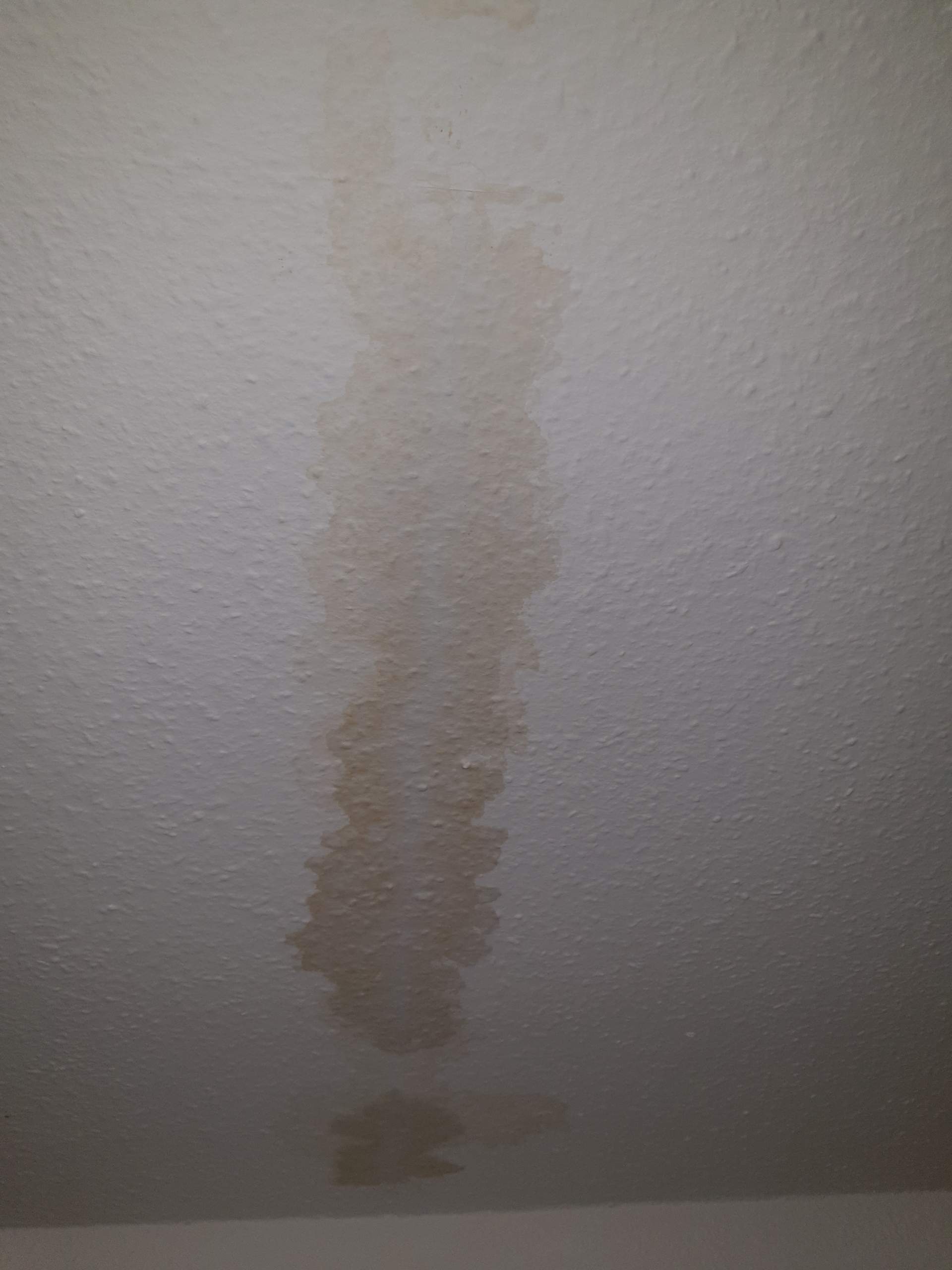 Was sind das für nässende Flecken an der Decke (Küche und Badezimmer)? (Wasser, Vermieter, Wand)