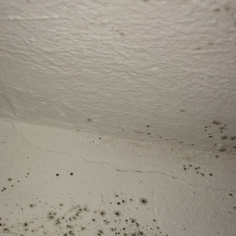 50+ neu Bilder Schimmel Im Bad Decke - Schimmel im Bad richtig