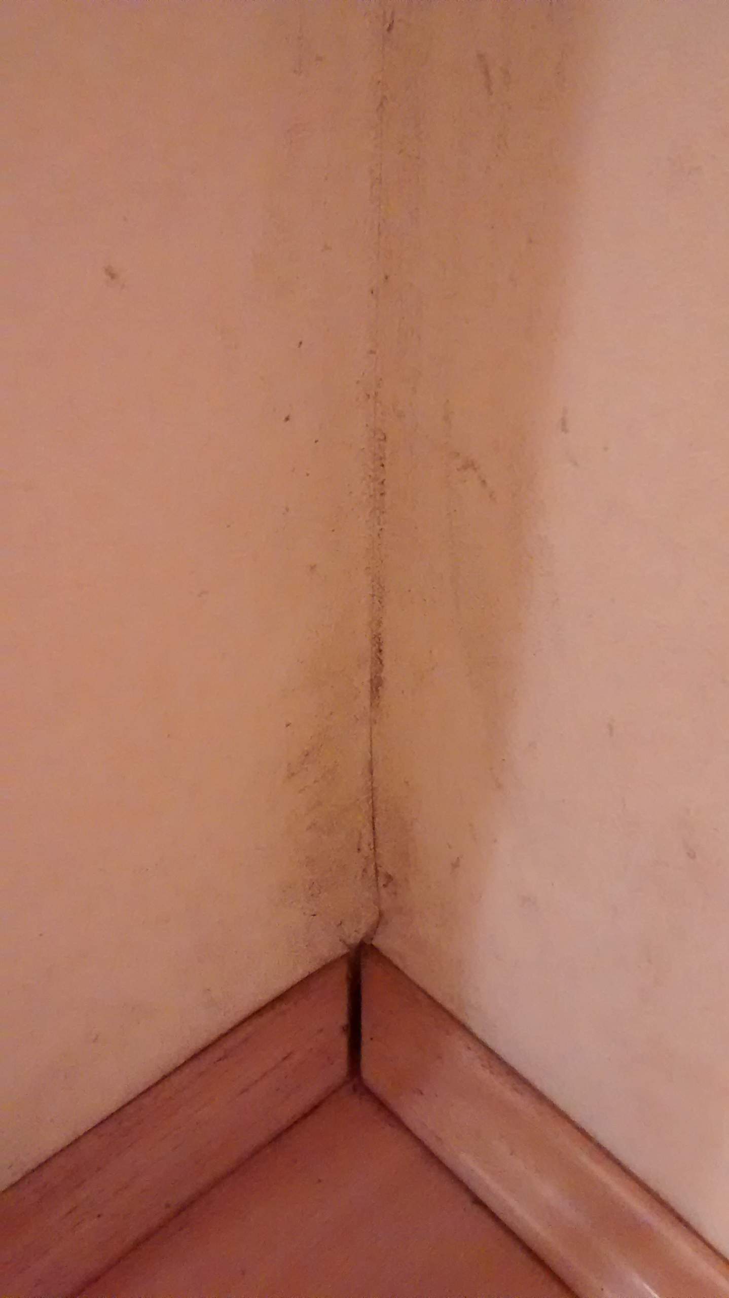 Was sind das für schwarze Flecken an der Wand und wie bekommt man diese