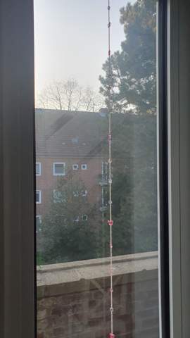 Was sind das für Streifen im Fenster?