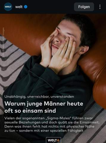 Bild zum Beitrag