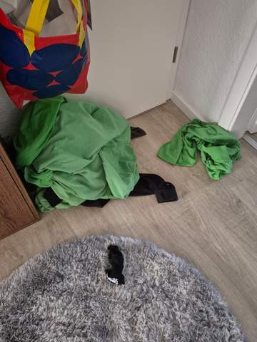 Bild zum Beitrag