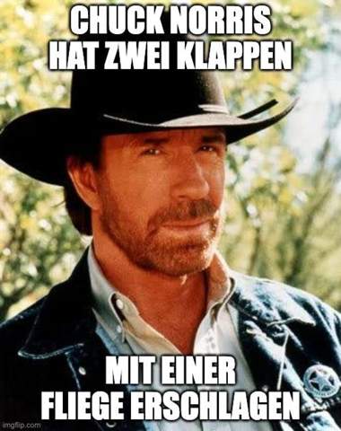 Bild zum Beitrag