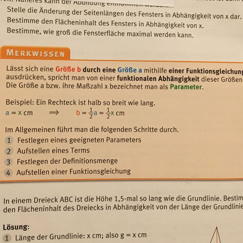 So wird es in unserem Buch beschrieben - (Mathe, Funktionsgleichungen)