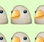  - (WhatsApp, Vögel, Emoji)