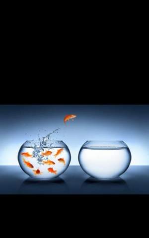 Was Soll Dieses Bild Darstellen Bilder Zeichnung