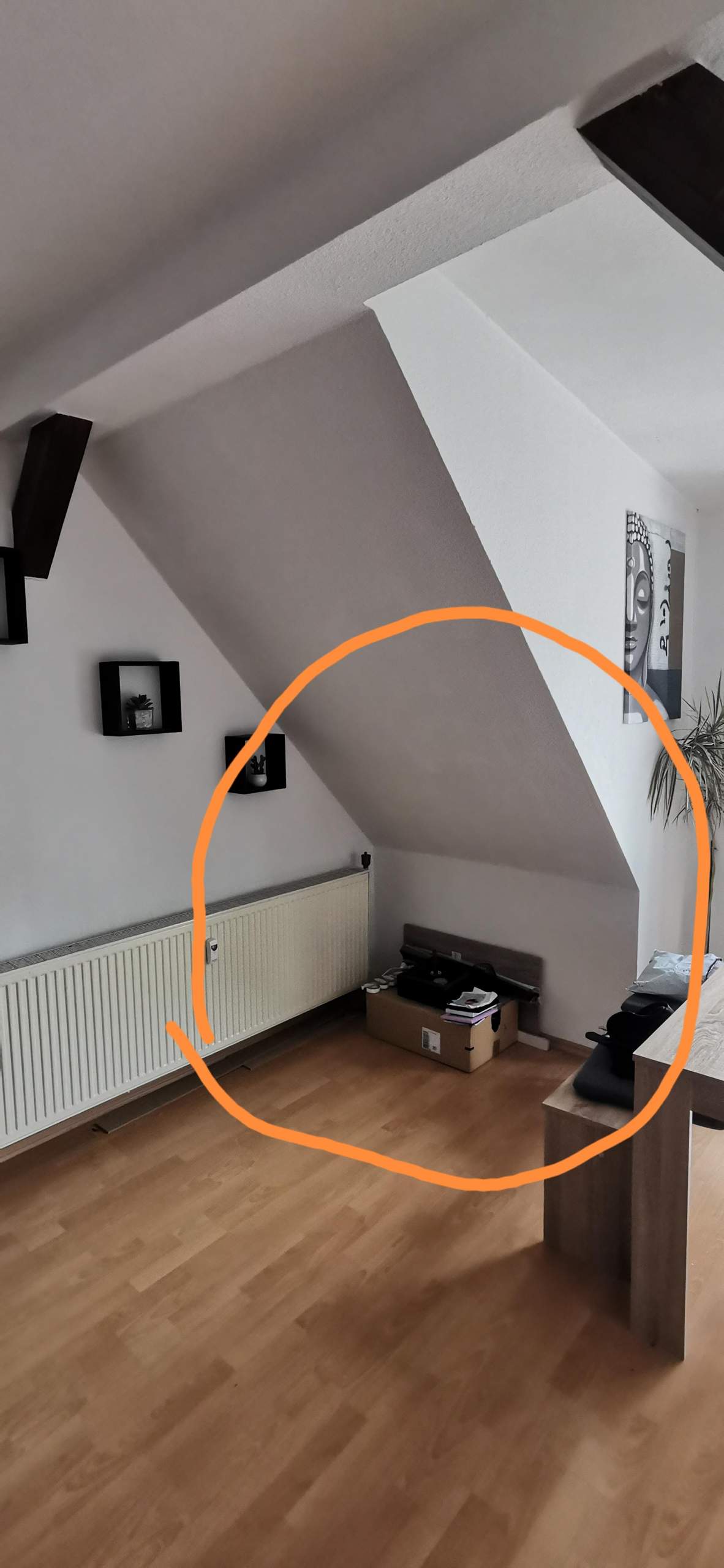 Was soll ich in die Ecke stellen? Wohnung, Dekoration)