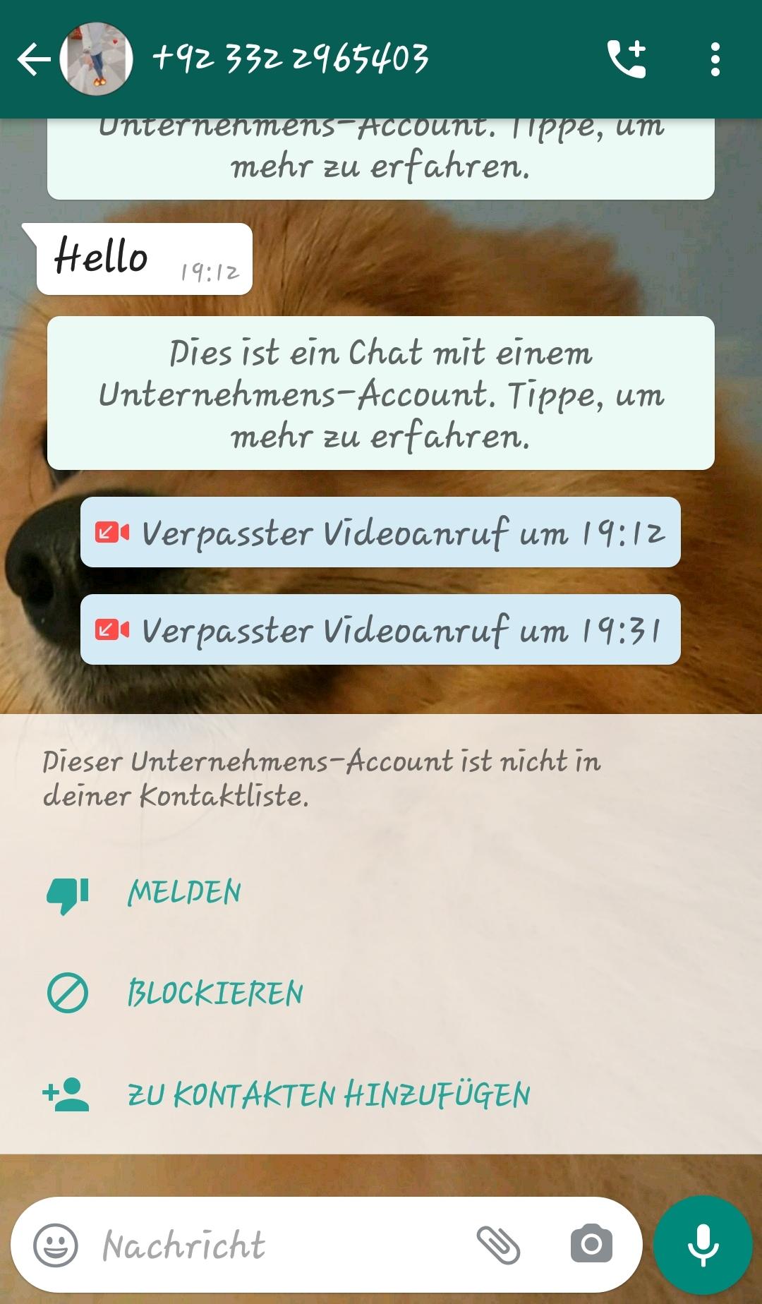 Blockierliste löschen whatsapp safemoon crypto