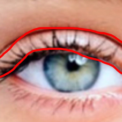 Der gerötete Bereich ist rot umkreist - (Mädchen, Augen, Make-Up)