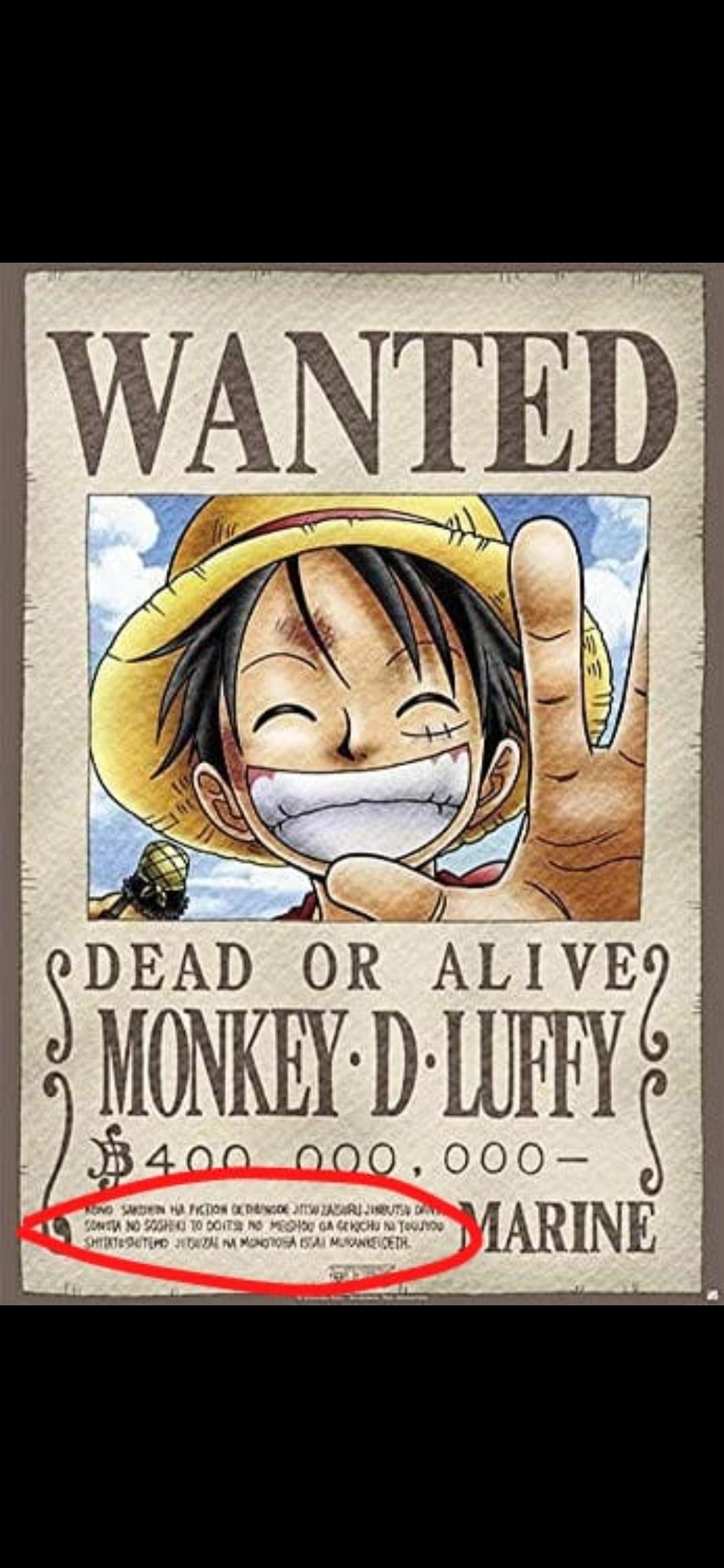 Was Steht Auf Den Steckbriefe Von One Piece Filme Und Serien Anime Manga