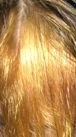Was Tun Bei Gelbsbstich Von Blondierung Haare Beauty Friseur