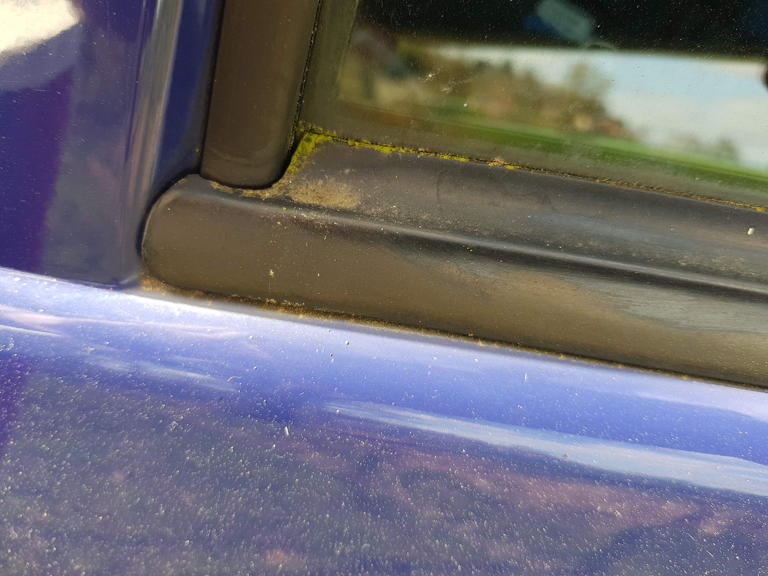 Was tun gegen 'Grün Belag' auf dem Gummi der Fensterscheibe (Außen)? (Auto,  Auto und Motorrad, KFZ)