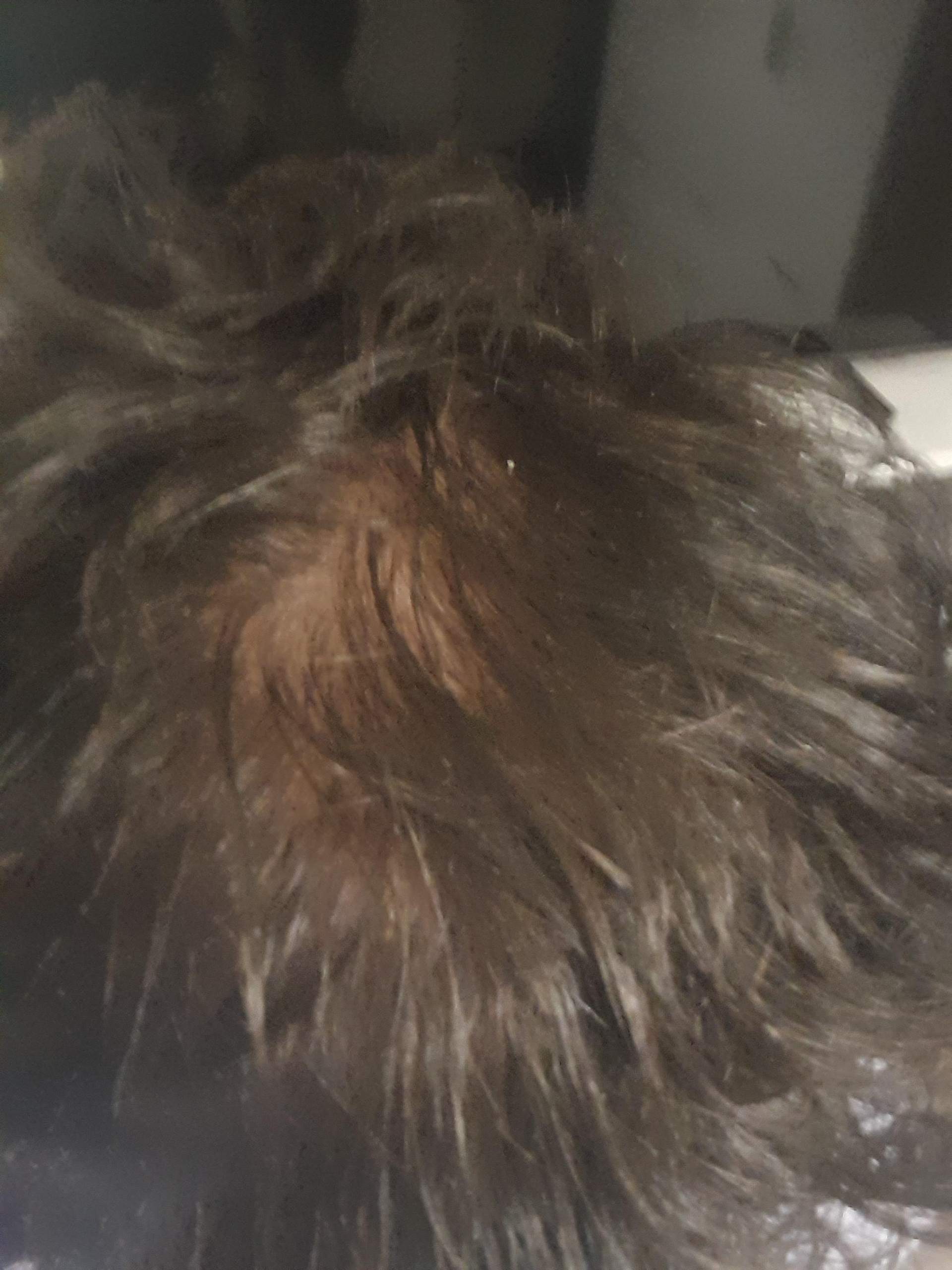 Was tun gegen Haarausfall und dünne haare mit 14? (Junge, Pflege, Haarpflege)