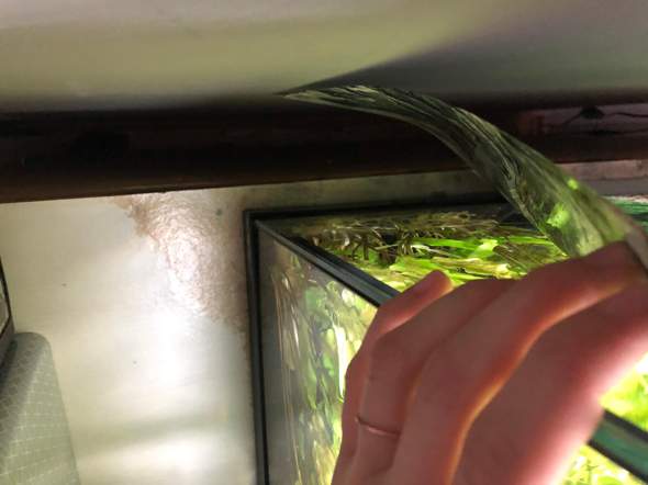 Was tun gegen zu viel Wasserdunst beim Aquarium?