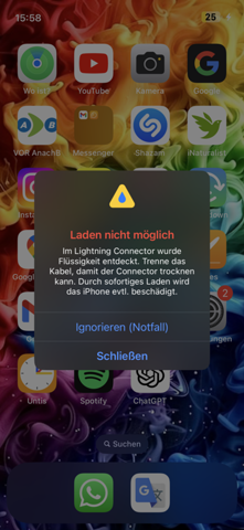 Bild zum Beitrag