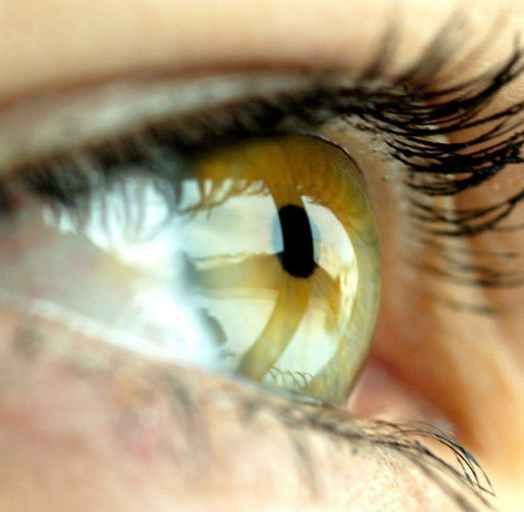 Was war bisher der schönste Augenblick in deinem Leben? (Menschen, schön)