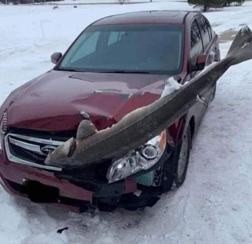 Was würdest du machen wenn das dein Auto währe?