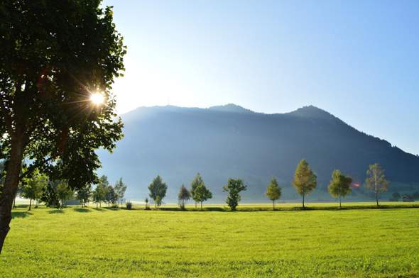 Bild zum Beitrag
