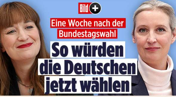 Bild zum Beitrag