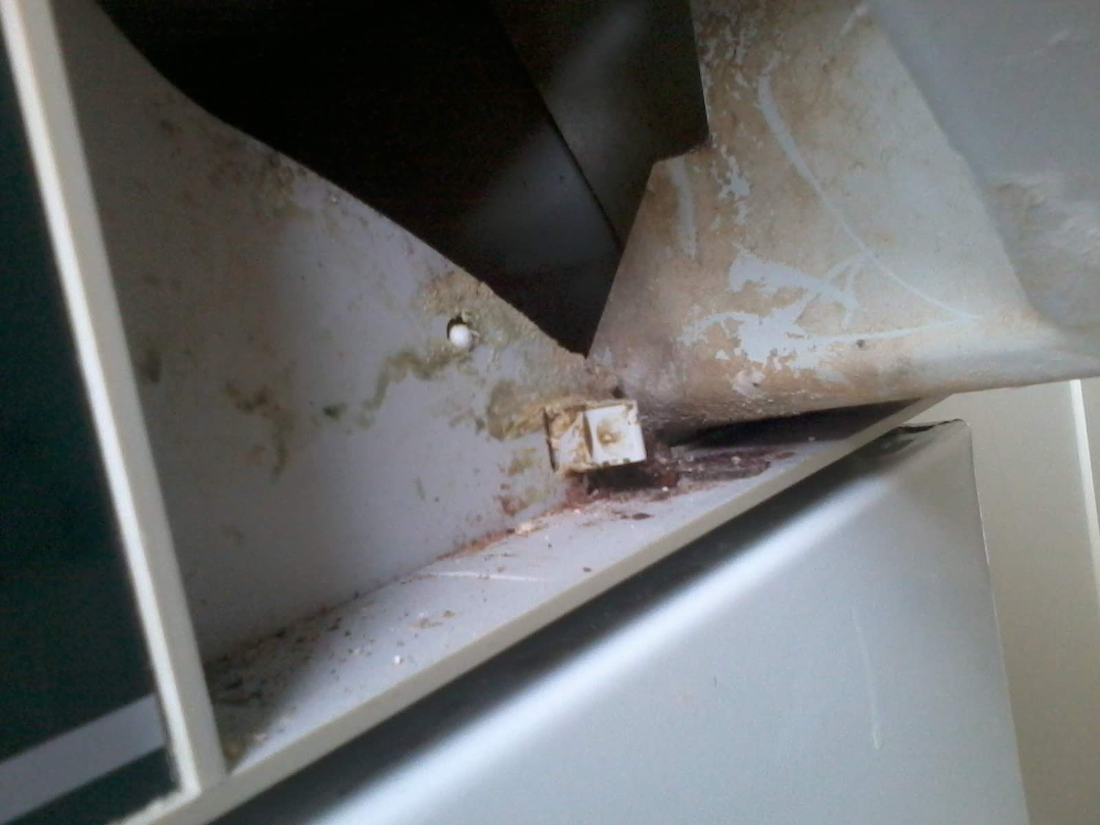 Waschmaschine - Waschmittel Behälter total Verschmutzt (Reparatur