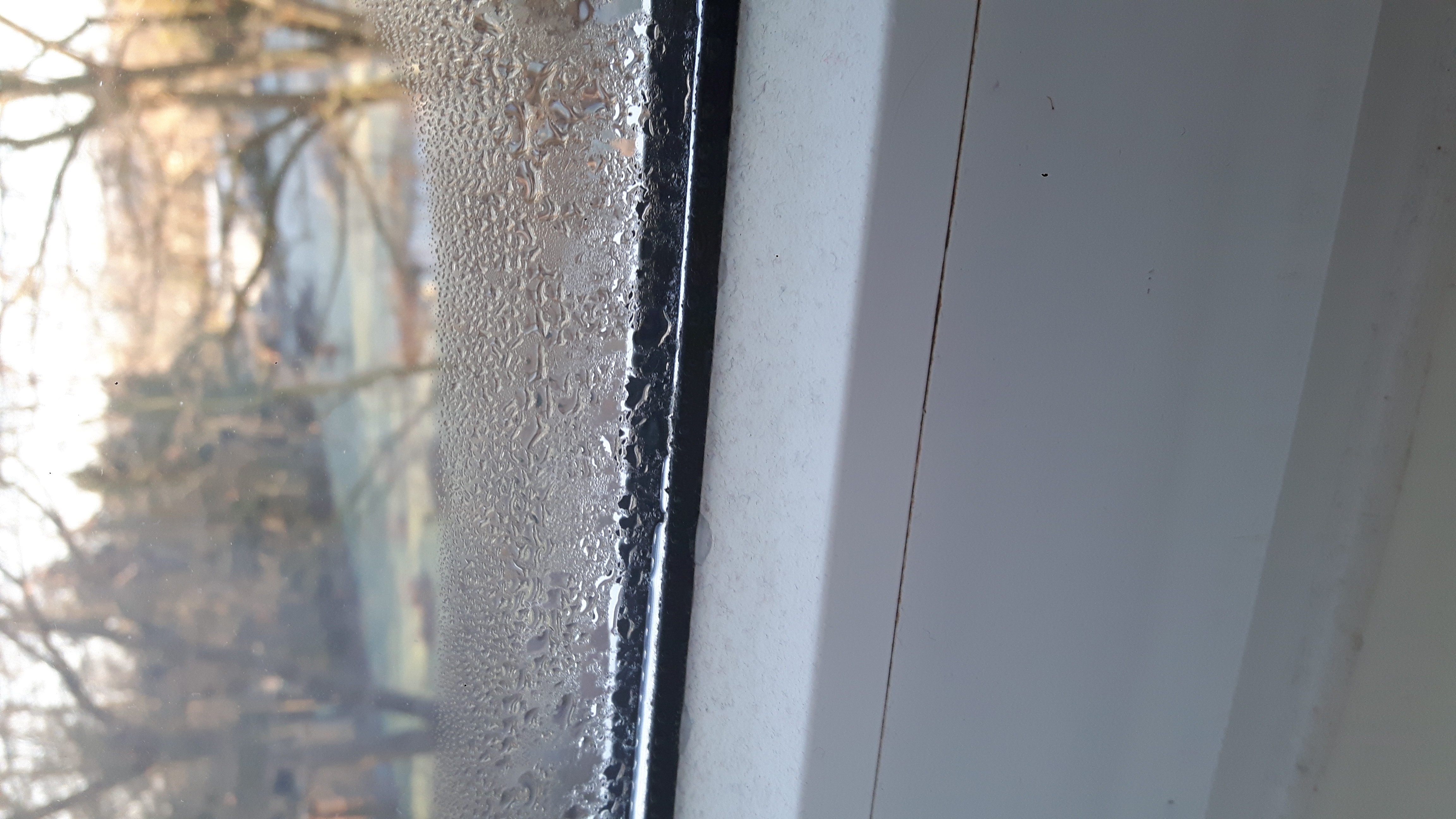 Wasser Am Unterem Fenster Wohnen Fensterscheibe