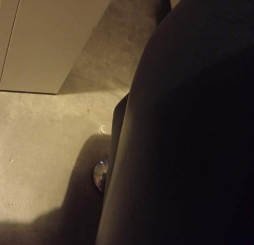 Bild zum Beitrag