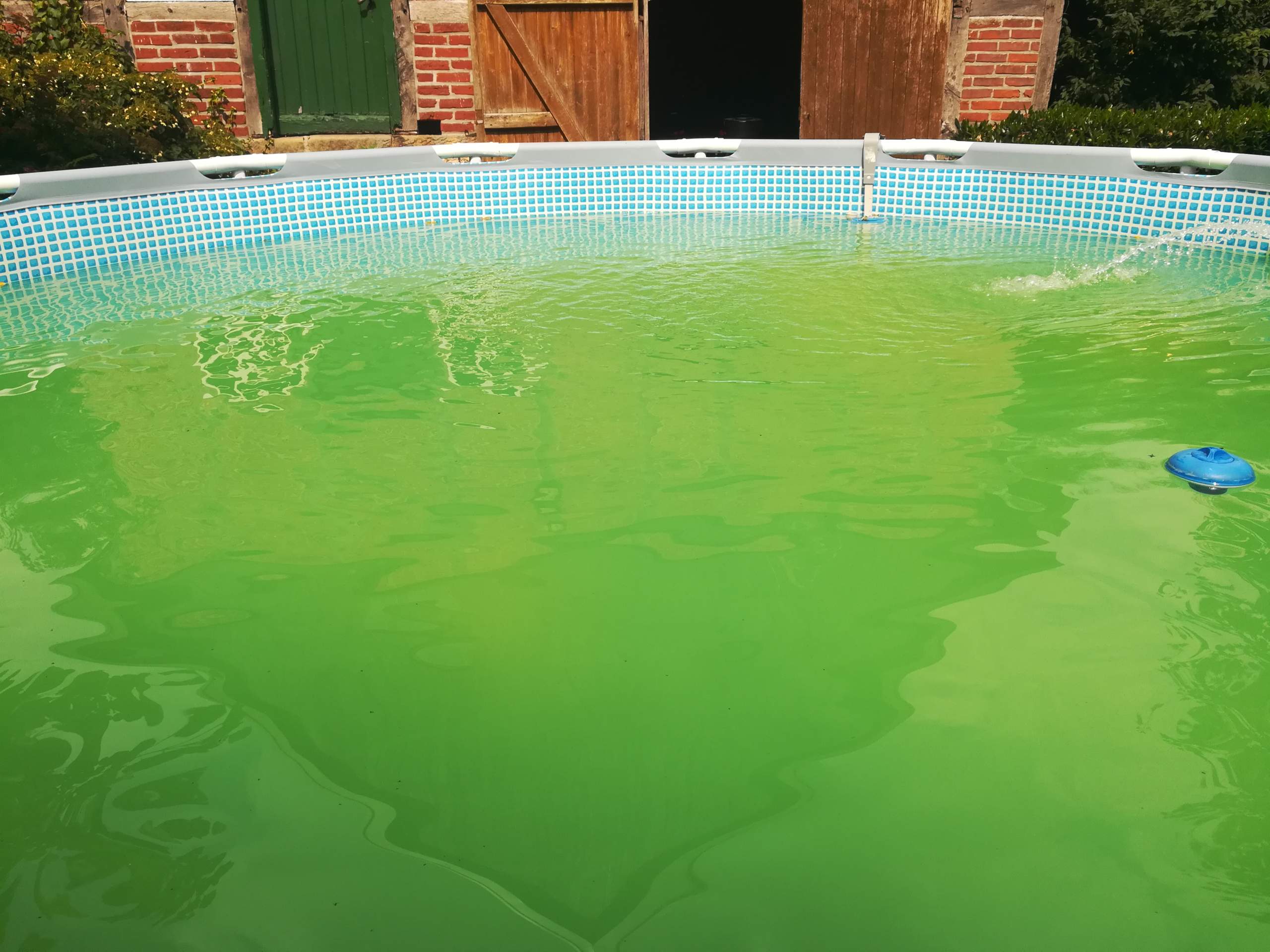 Wasser von pool grün wieder klar bekkomen? Wasser von pool grün wieder klar bekkomen?