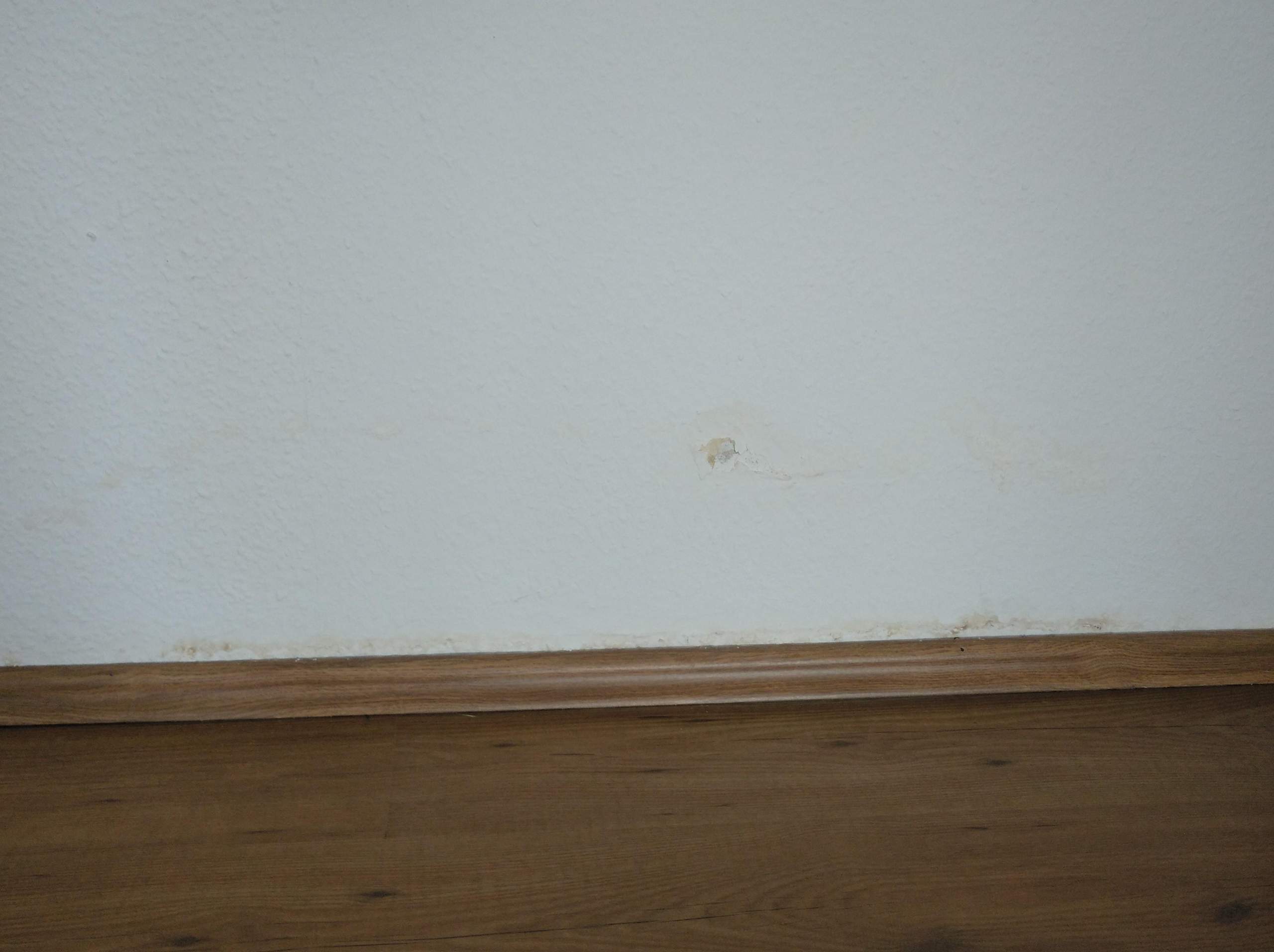 Wie Bekomme Ich Wasserflecken An Der Wand Weg Wasserflecken an der Wand weg bekommen? (Flecken, Schimmel, Tapete)