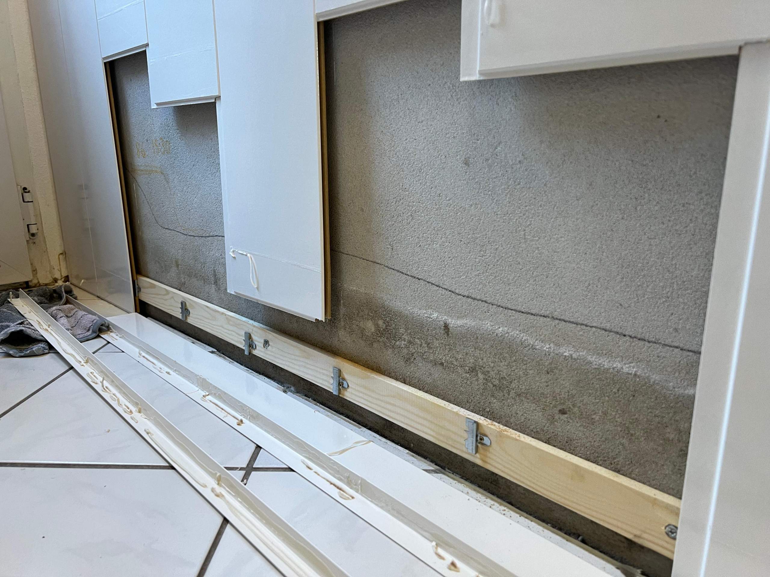Wasserschaden- Ursache wird nicht gefunden/ Ameisen im Haus?