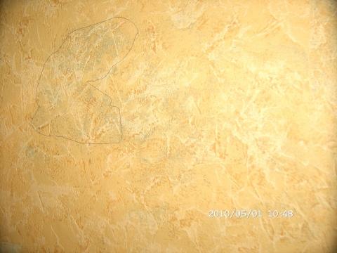 Wasserschaden Bei Der Dusche Wand Schimmelt Handwerker Maler