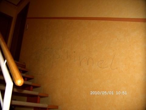 Wasserschaden Bei Der Dusche Wand Schimmelt Handwerker Maler