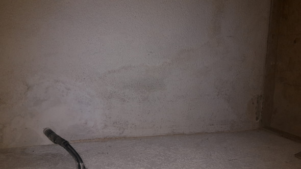Wasserschaden Kellerwand Schimmel Gesundheit Wohnung Haus