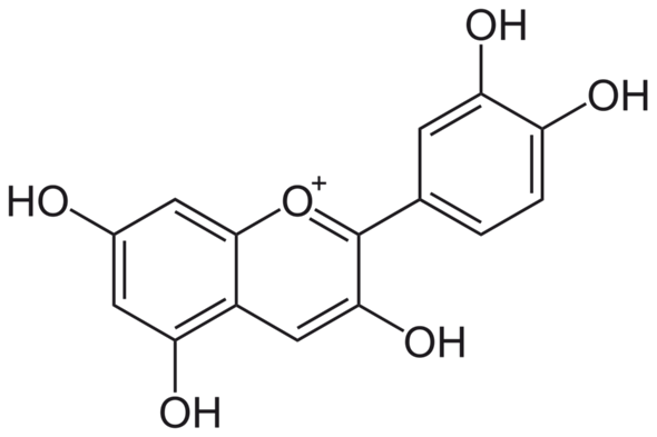 - (Chemie, van der Waals-Kräfte, Wasserstoffbrücken)