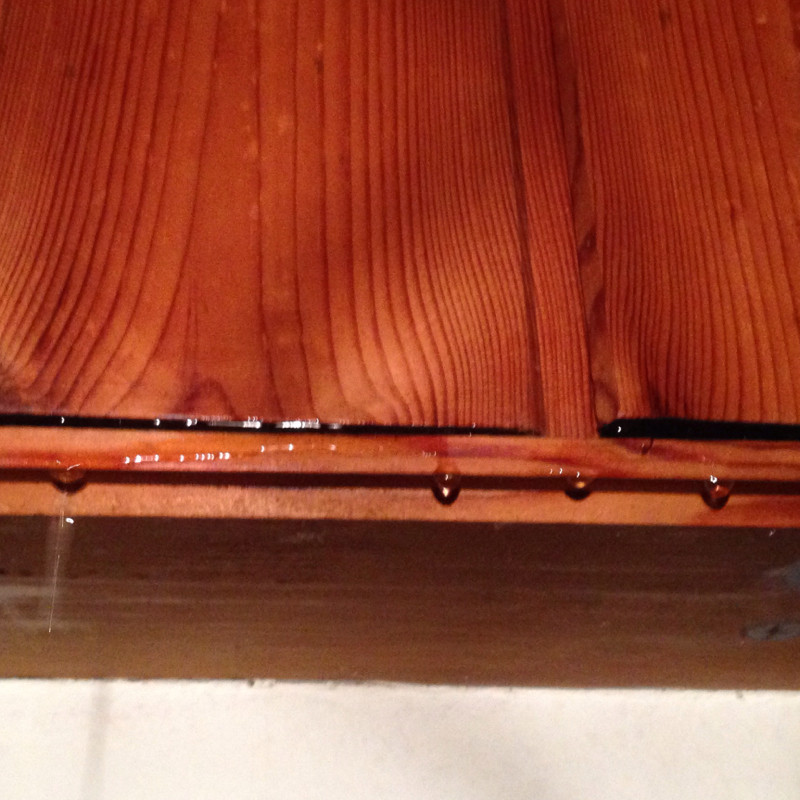 Wassertropfen die von der Decke kommen! - Mietminderung möglich!? (Wohnung)