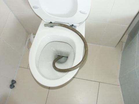 WC - (Sanitär, wc-verstopft)