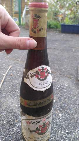 Bild zum Beitrag