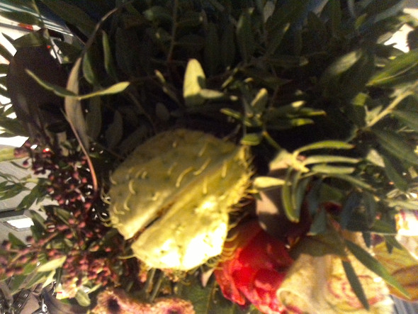 ?????? - (Fragen, Blumen)