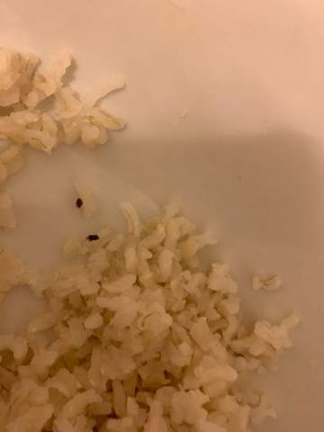 Weiss Einer Was Die Schwarzen Punkte Im Reis Sein Konnten Essen Lebensmittel Weiss Einer Was Die Schwarzen Punkte Im Reis Sein Konnten Essen Lebensmittel