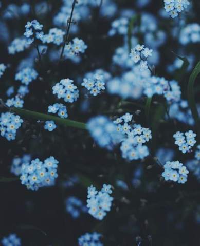 Get Irgend jemand Free HD Irgend Jemand