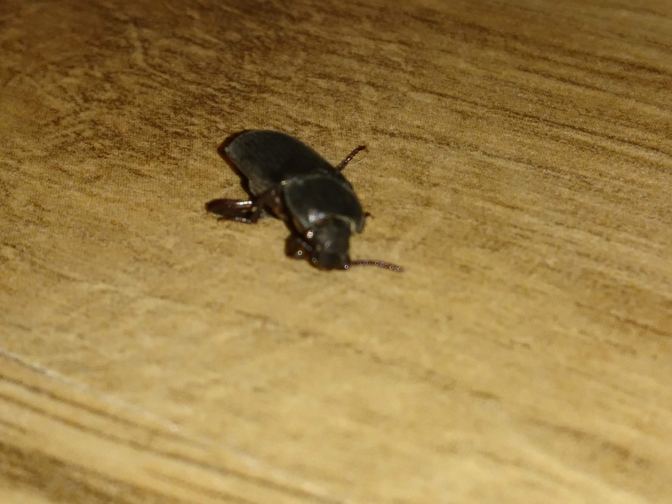 Weiß jemand was das für ein