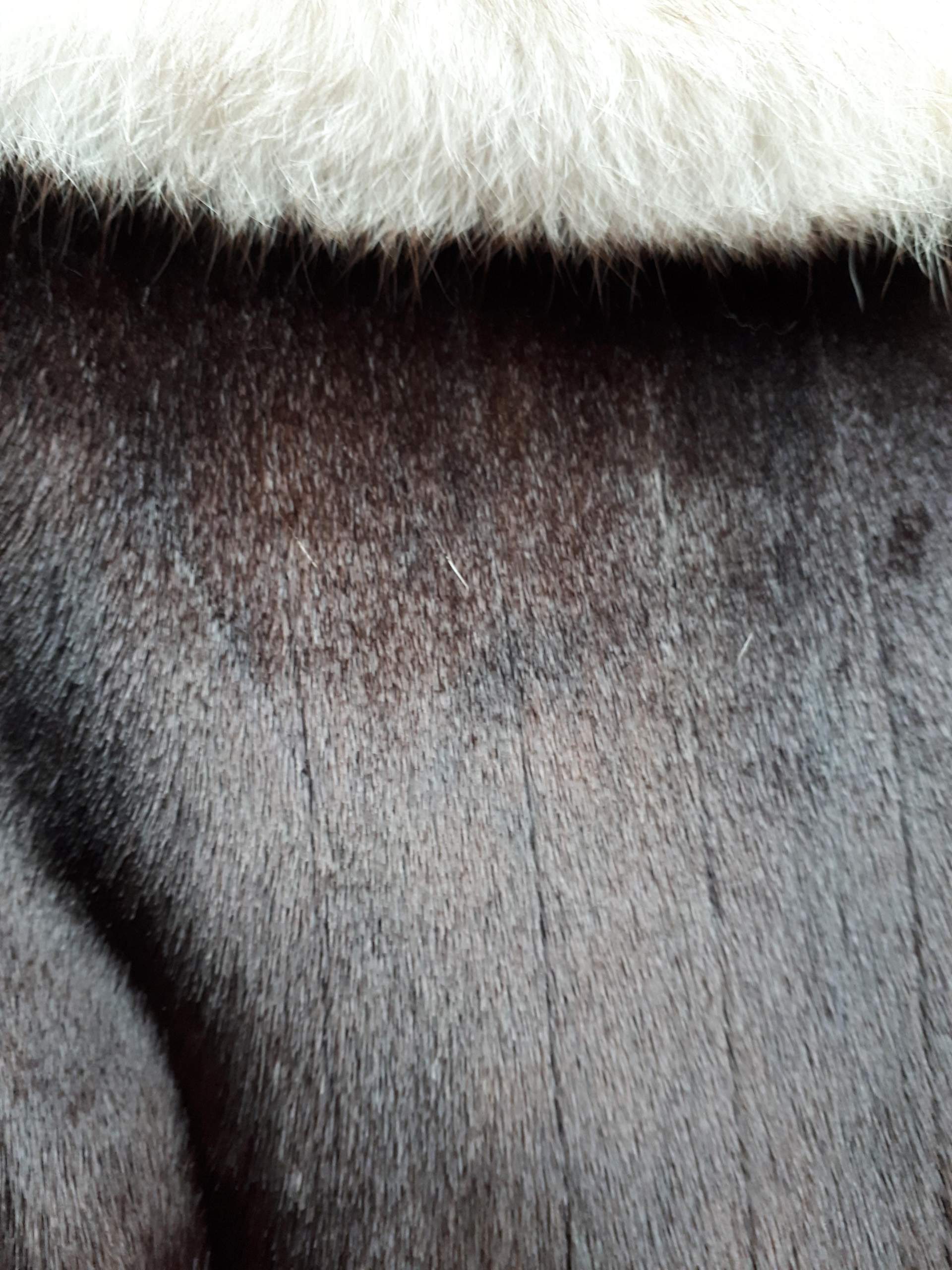 Weiß jemand welcher Pelz das ist? (Fell)