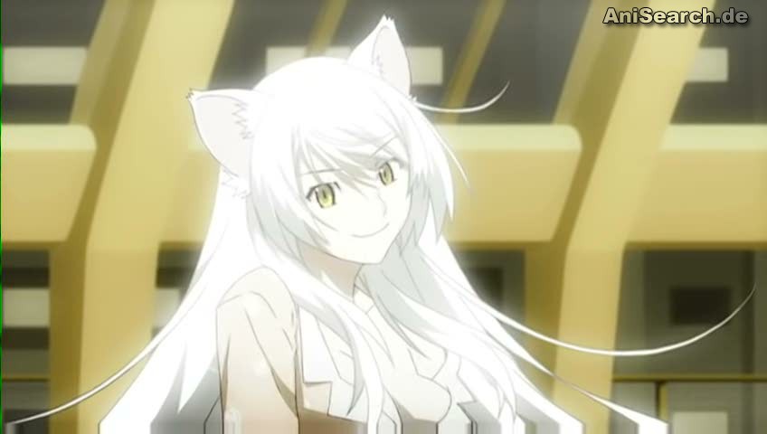 Weiss Jemand Wie Der Anime Heisst Bei Dem So Eine Frau Mit Weissen Haaren Und Katzenohren Dabei Ist