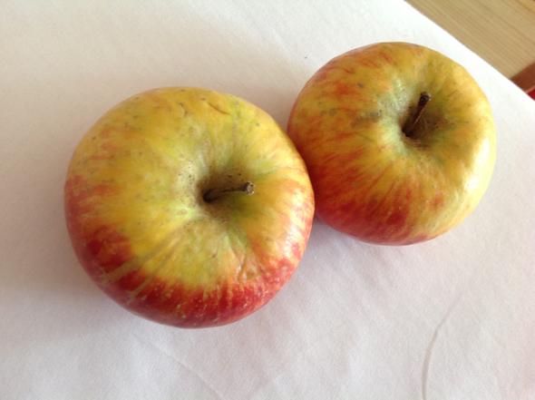 Unbekannte Äpfel 2 - (Apfel, Apfelsorte, gut verträglich)