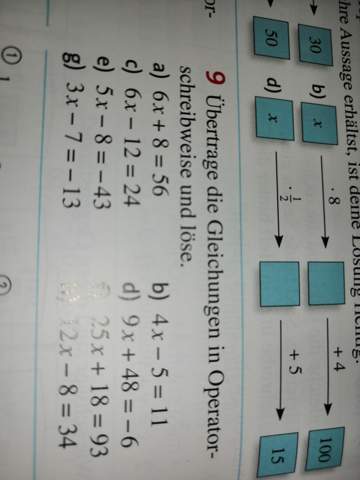 - (Mathematik, terme-und-gleichungen)