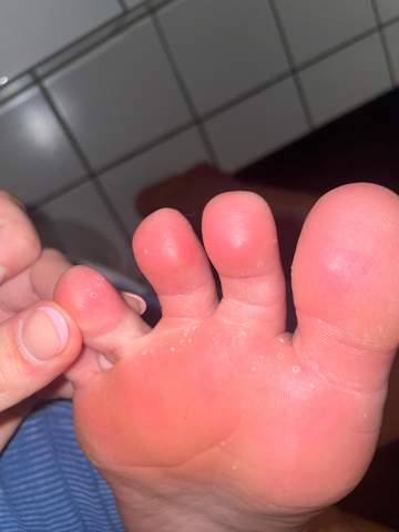 Bild zum Beitrag