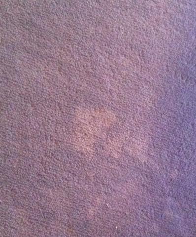 Weiße Flecken auf Teppich - (Haushalt, Flecken, Reinigung)