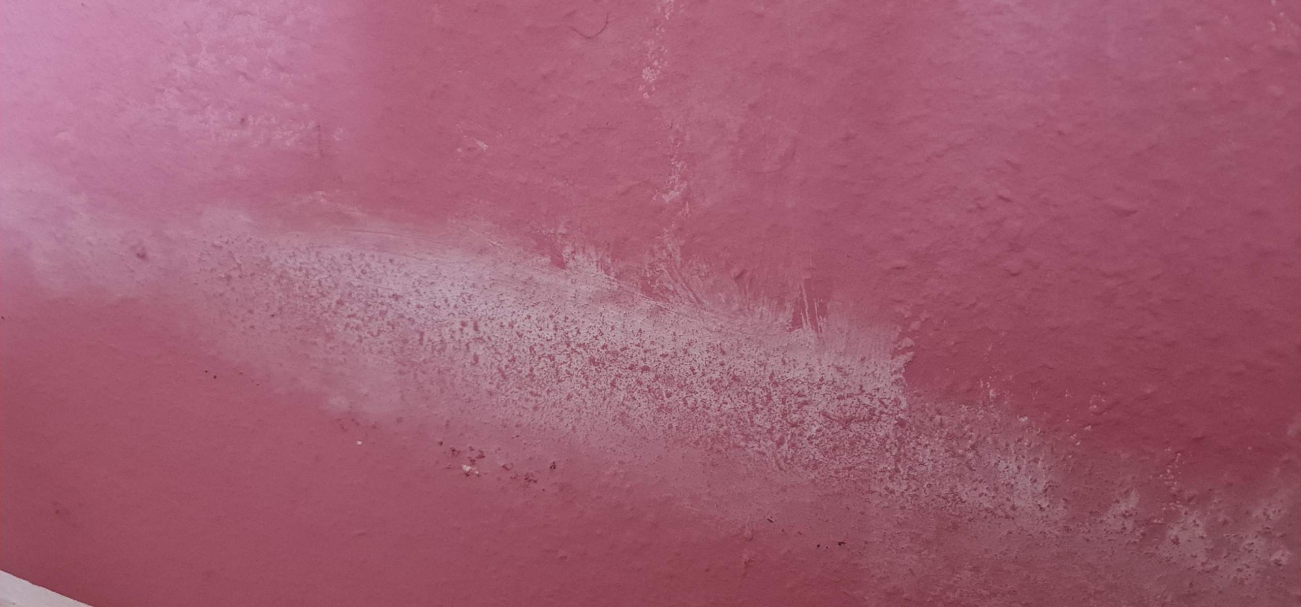 Weiße Flecken auf der Wand, Schimmel?