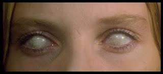 Weisse Kontaktlinsen Ohne Pupille Weiss