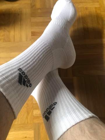 Bild zum Beitrag